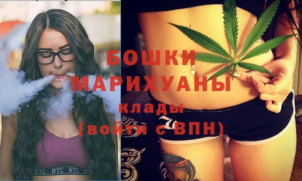 2c-b Рославль
