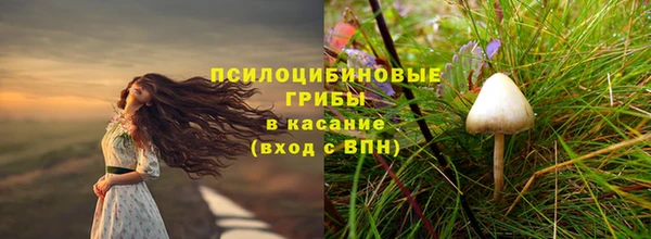 гашик Протвино